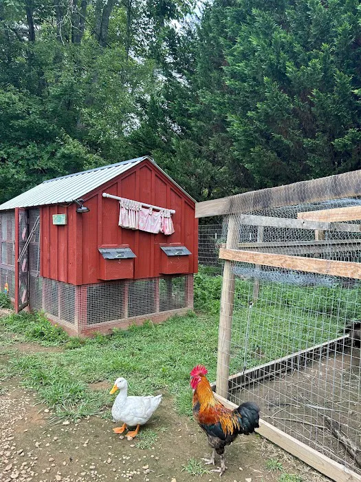 Owl Creek Farm Resort Picture 4
