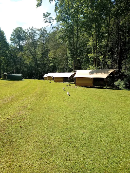 Hanging Dog GLAMP Campground Picture 7