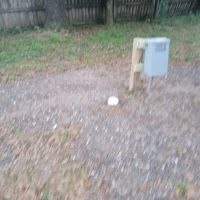 99 Oaks ico