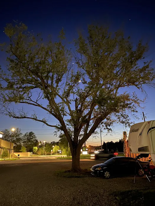 Palm Cove RV Village Picture 3