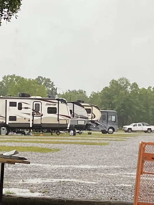 Palm Cove RV Village Picture 2
