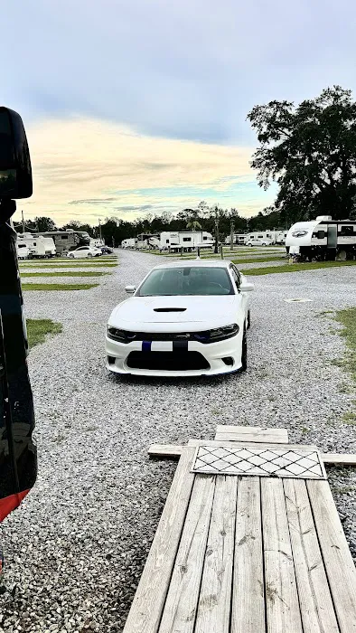 Palm Cove RV Village Picture 6