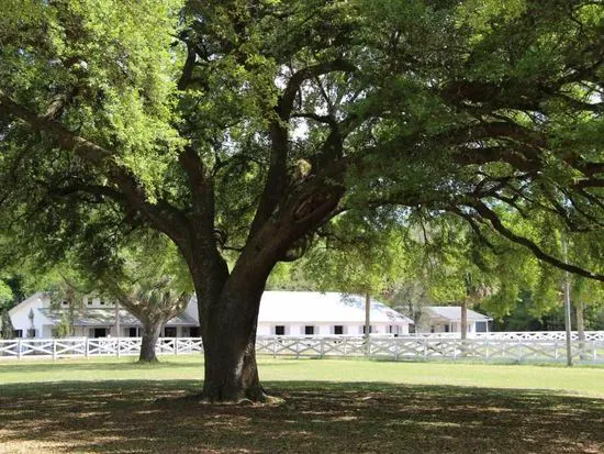 Five Flags Ranch at Pony Land and RV Motorhome Parking Spaces Picture 1