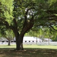 Five Flags Ranch at Pony Land and RV Motorhome Parking Spaces ico