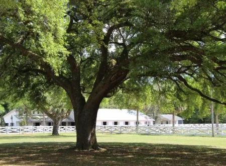 Five Flags Ranch at Pony Land and RV Motorhome Parking Spaces