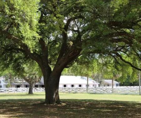 Five Flags Ranch at Pony Land and RV Motorhome Parking Spaces