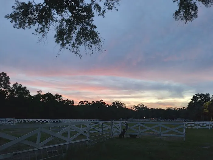Five Flags Ranch at Pony Land and RV Motorhome Parking Spaces Picture 10