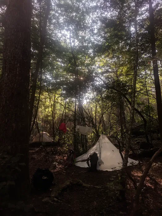 Upper Poly Branch Campsite Picture 1