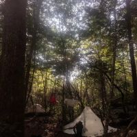 Upper Poly Branch Campsite ico
