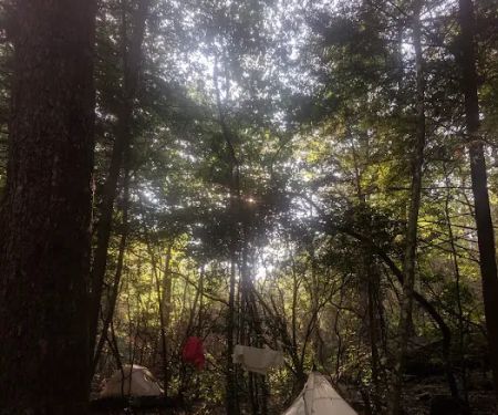 Upper Poly Branch Campsite