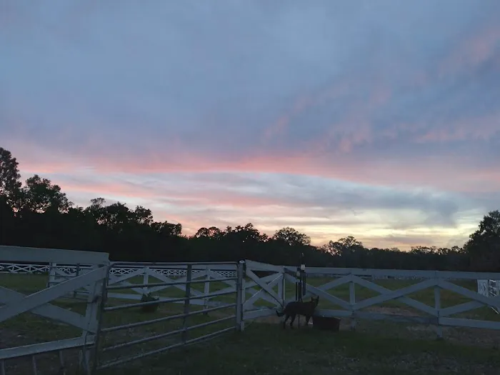 Five Flags Ranch at Pony Land and Motorhome RV Spaces Picture 6