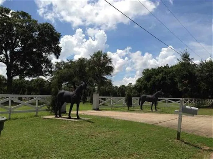 Five Flags Ranch at Pony Land and Motorhome RV Spaces Picture 1