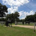 Five Flags Ranch at Pony Land and Motorhome RV Spaces
