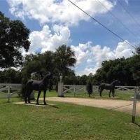 Five Flags Ranch at Pony Land and Motorhome RV Spaces ico