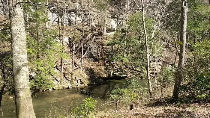 Big Spring Campground Picture 10