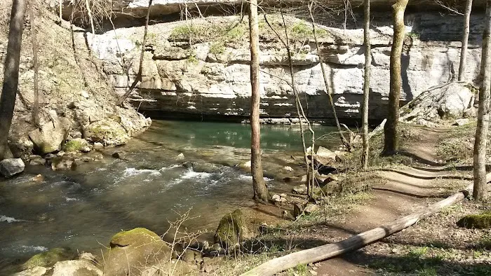 Big Spring Campground Picture 8