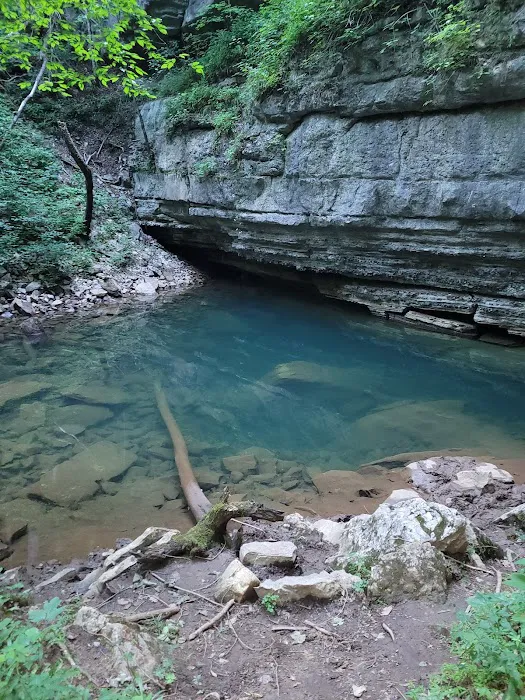 Big Spring Campground Picture 5