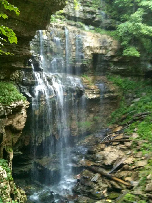 Martha’s Pretty Point Picture 7