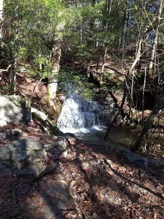 Martha’s Pretty Point Picture 8