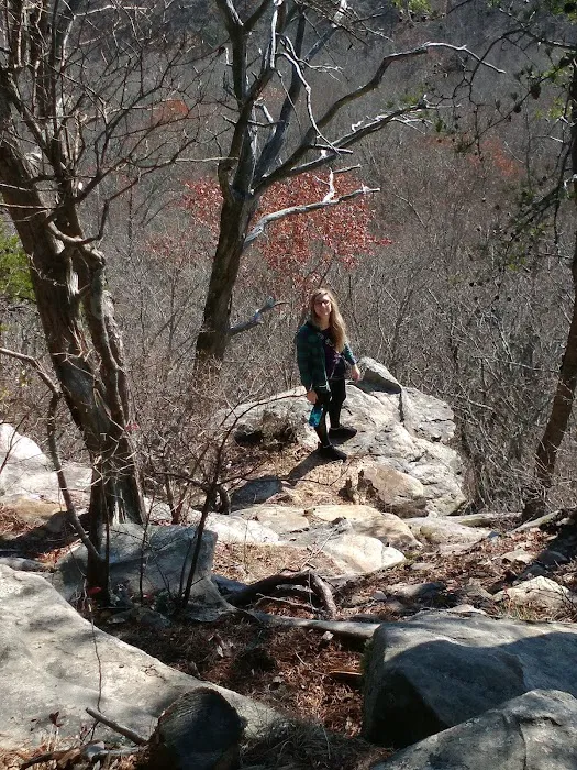 Martha’s Pretty Point Picture 10
