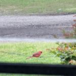 Hoomes RV Park