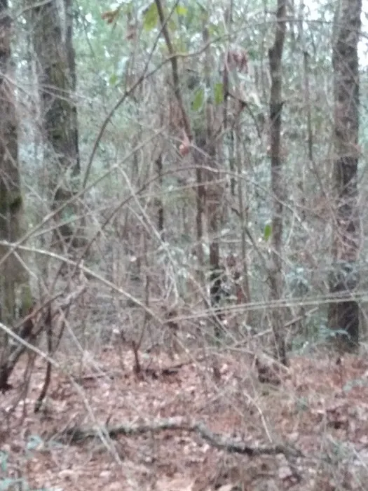 Gandy’s RV Park Picture 10
