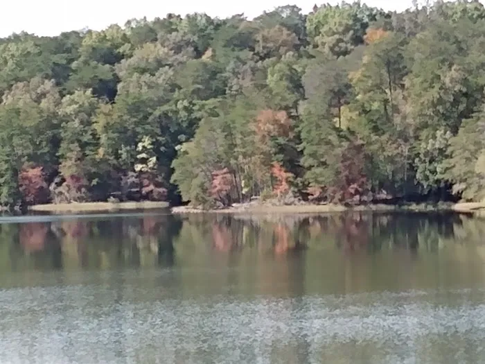 Fall Creek Falls Family Campground B Picture 10