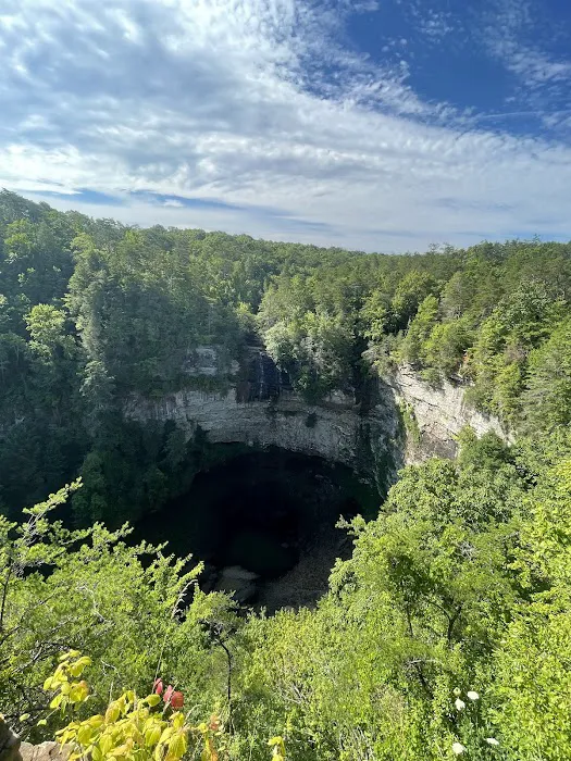 Fall Creek Falls Family Campground C Picture 4