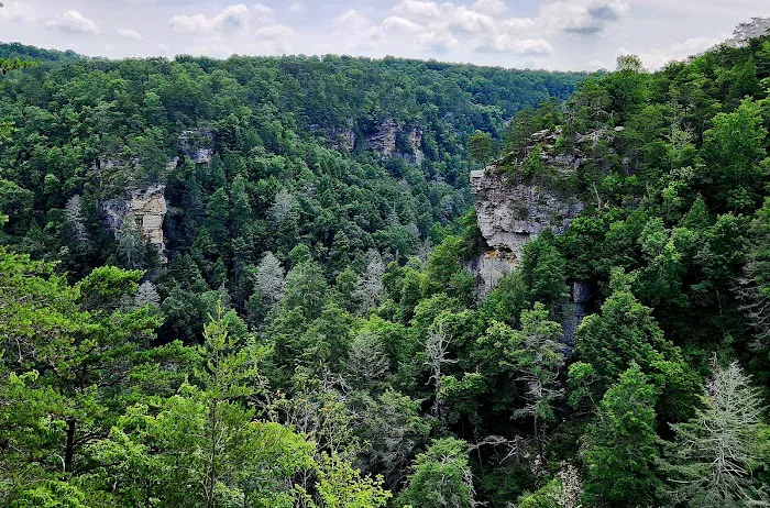 Fall Creek Falls Family Campground C Picture 8