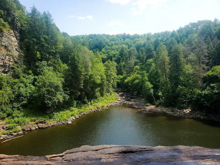 Fall Creek Falls Family Campground C Picture 1