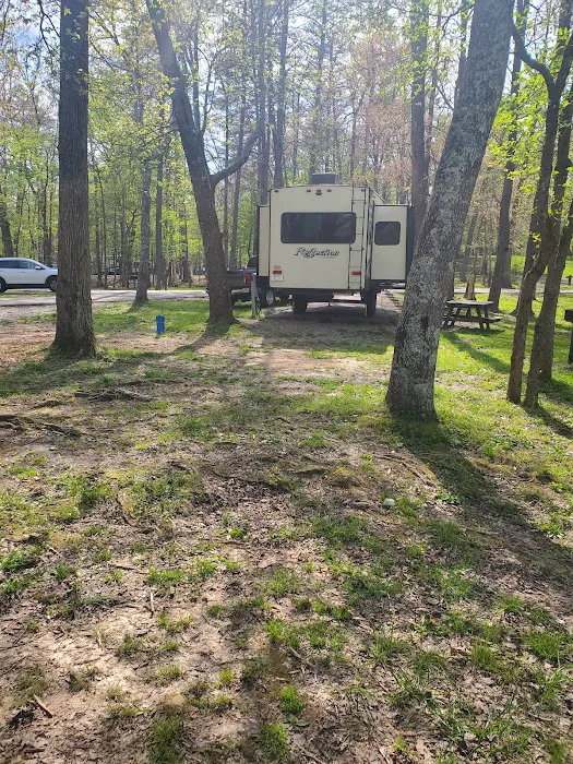 Fall Creek Falls - Family Campground A & E Picture 5