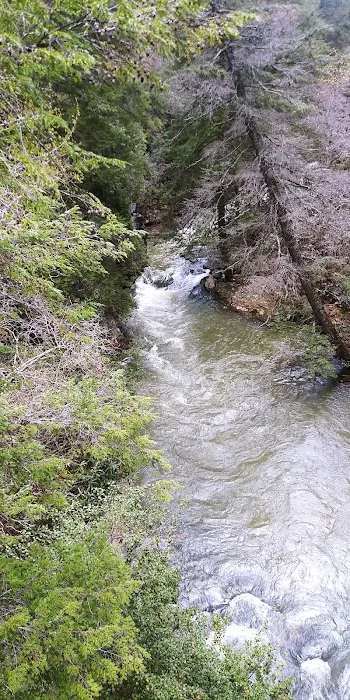 Fall Creek Falls - Family Campground A & E Picture 6