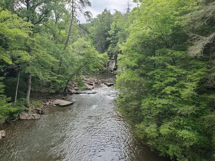 Fall Creek Falls - Family Campground A & E Picture 4