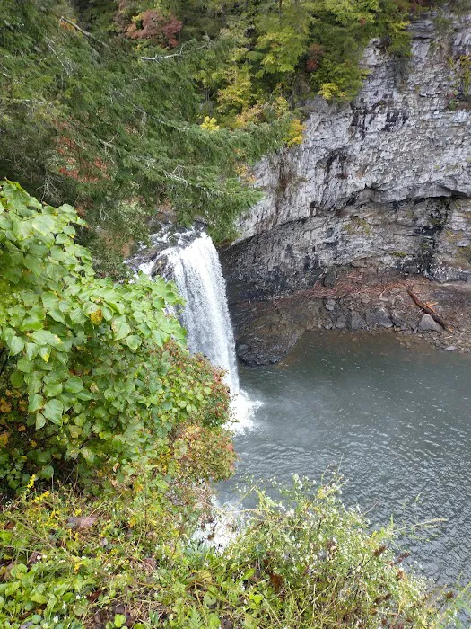 Fall Creek Falls - Family Campground A & E Picture 7