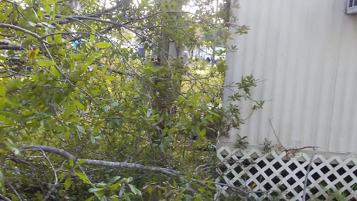 Napoli Mobile Home Park LLC Picture 3