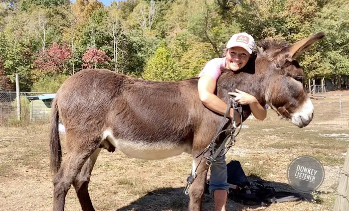 Gods Blessing Farm LLC Picture 3