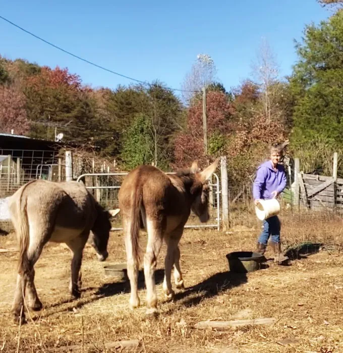 Gods Blessing Farm LLC Picture 4