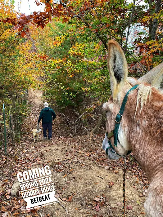 Gods Blessing Farm LLC Picture 1