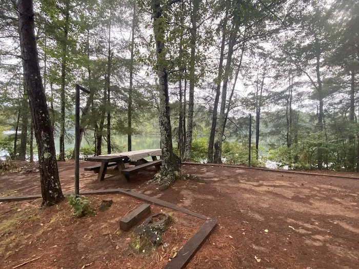 Lake Santeetlah Campsite Picture 6