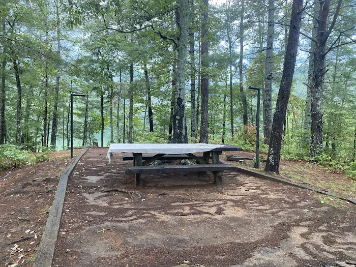 Lake Santeetlah Campsite Picture 3