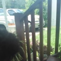 Park Ridge Mobile Home Park ico