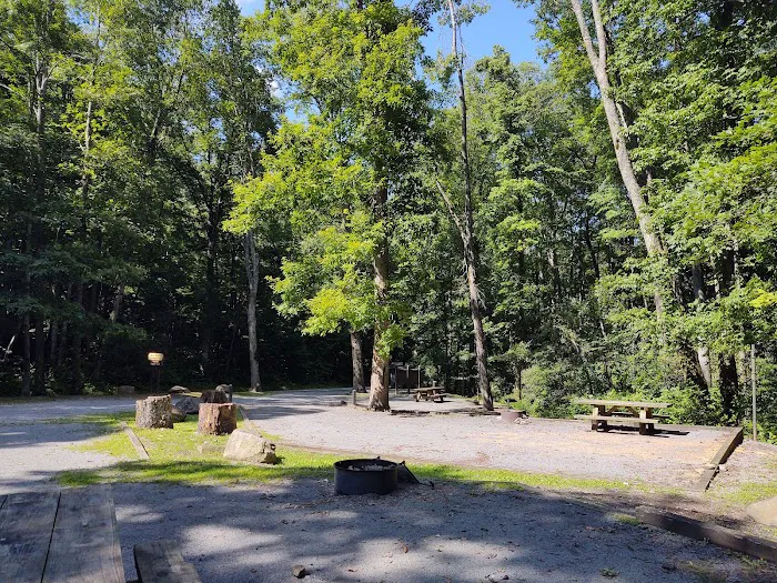 Birch Branch Campground Picture 1