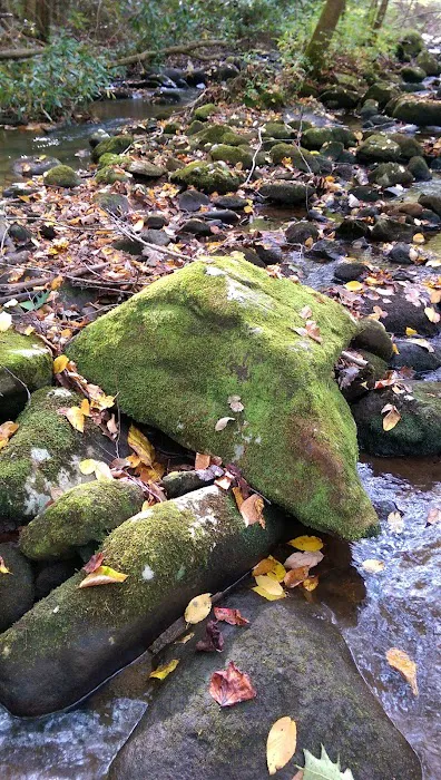 Davis Creek Campground Picture 10