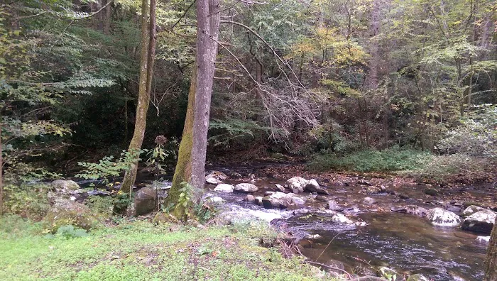 Davis Creek Campground Picture 7