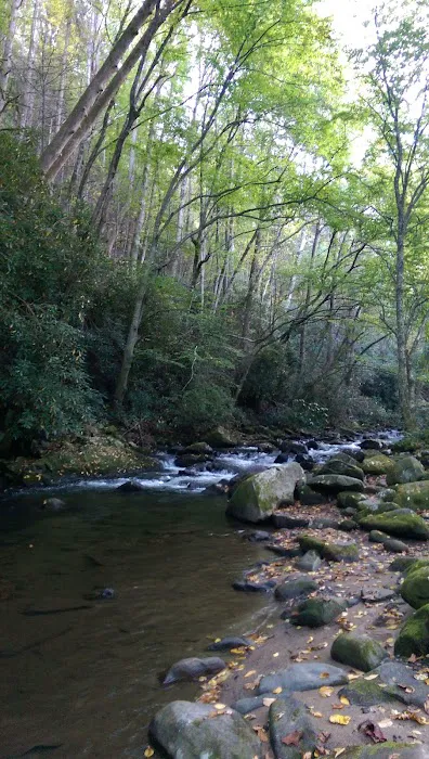 Davis Creek Campground Picture 8