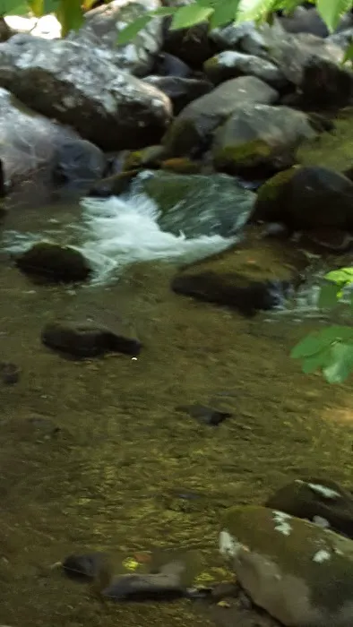 Davis Creek Campground Picture 2