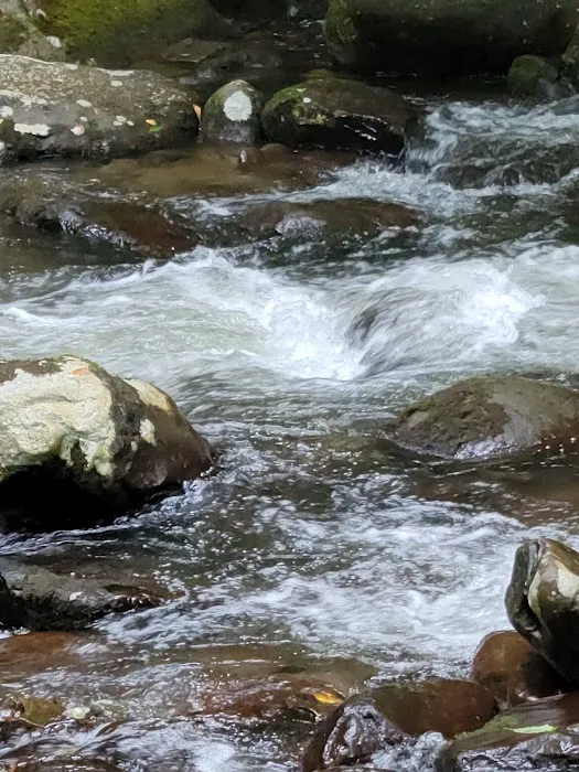 Davis Branch Campground Picture 2