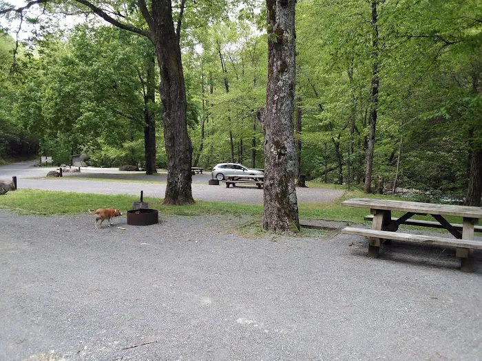 Davis Branch Campground Picture 10