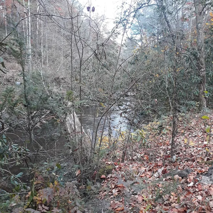 Holly Flats Campground Picture 4
