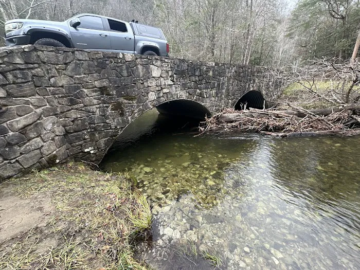 Holly Flats Campground Picture 5